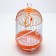 Birds Cell-Kound equipped BD-4/2, 23.5 x 33 cm, orange