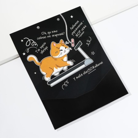Envenue for money, a birthday card "Congratulatory", with a cat, 6 sheets, 16.3 x 21.3 cm-3