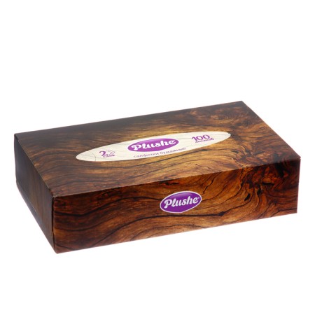 Paper napkins in Plushe box, 2 layers, 100 sheets-2