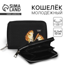 Youth wallet 