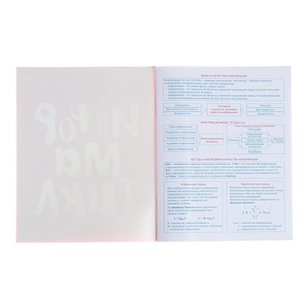 The subject “domino”, 48 sheets in the cage, “computer science”, plastic cover, offset block-1