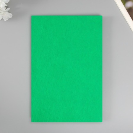 Soft felt 1 mm 20x30 cm green