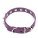 A collar with blurted spikes 38 x 1.5 cm, Osh 26-33, frost-resistant PU, purple material