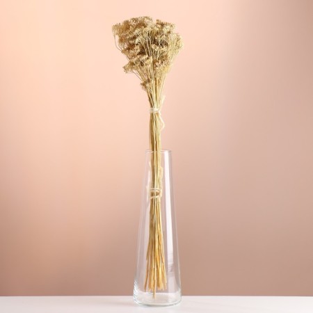 Set of dried flowers "yarrow", banch length 60 (+/- 6 cm), bleached