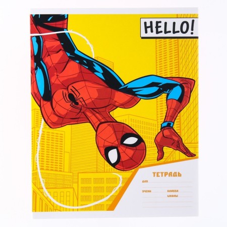 A notebook in a cage 18 sheets, 4 types of mix, cover coated paper, spider-man-5