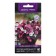 Petunia flowers ampelous "shock vayw Power Mix", F1, 5pcs