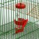 Drill for rodents 125 ml, 12.5 x 4.5 cm, red