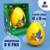 Set for creativity. Grow your pet "You are my best friend!"