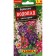 Flower seeds Verbaskum "Waterfall", 0.1 g