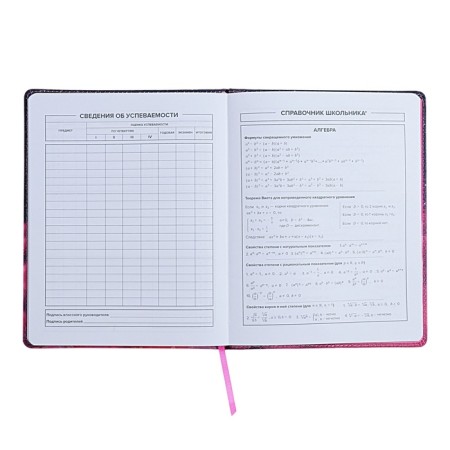 Universal Diary Grade 1-11, 48 sheets "Cat Princess", solid cover of artificial leather, lies, universal cheat sheet, block 80 g/m2-5