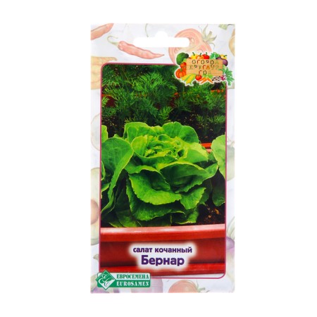 Bernard salad seeds, 0.5 g