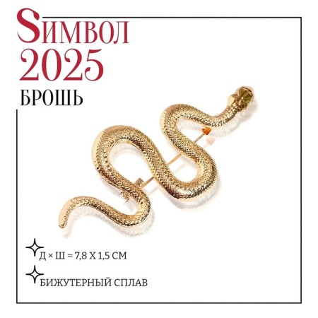 Brooch "Snake" winding, color gold-1