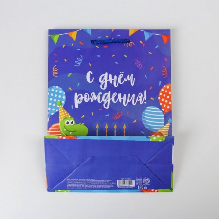 Gift Package Laminated, Packaging, Festive Dinosaurics, MS 18 x 23 x 8 cm-4