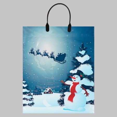 Night Flight package, polyethylene with a plastic pen, 38x45 cm, 100 μm