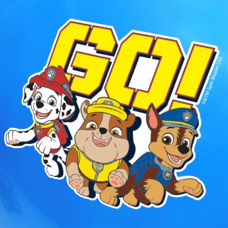 Massage jump with PAW PATROL GO, D = 45 cm, weight 350 g, Mix color-3