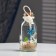 Souvenir in the bottle "Shell" 11*5*5cm, mix