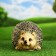 Garden figure "Round Hedgehog" 18x18x27cm
