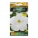 Petunia flowers "from Ryder", F1, Belaya, 7 pcs