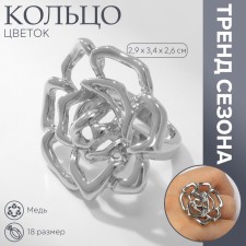Ring metal 