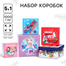 Set of boxes 5 in 1 