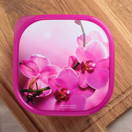 Lunch-Box "Orchid", 600 ml-2