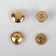 Magnetic, installation buttons, d = 10 mm, 10 pcs, gold color