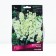 Delphinium high sangle, rr I, 1 pc, spring 2025