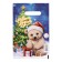 Polar New Year package, polyethylene with a cut pen, 20x30 cm, 30 μm