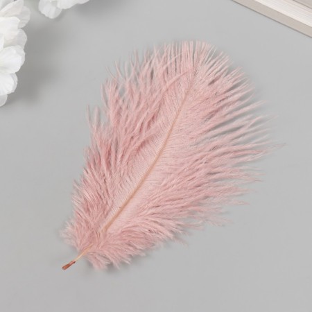 Pen of decorative ostrich "Dust Rose" h = 15-20 cm-1