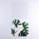 Cookie box, confectionery packaging with PVC lid, “eco”, 21 x 21 x 3 cm