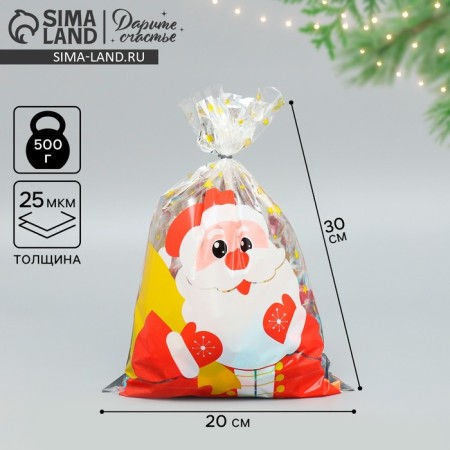 Plastic packet "Happiness to you", 20 x 30 cm, new year