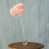 Sukhotzet "Large -leaf hydrangea", dark pink, 1 branch 50 - 70 cm in packaging
