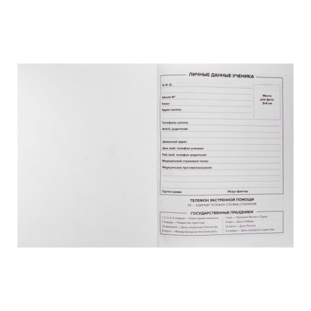 School diary for grade 1-11, “steep turn”, solid cover, “soft-tach” lamination of Velvet, an offset block 65g/m2, universal cheat sheet, 48 sheets-3