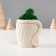 Kashpo Concrete "Snake Basket" with moss 7x6x7 cm white (moss green stabil)