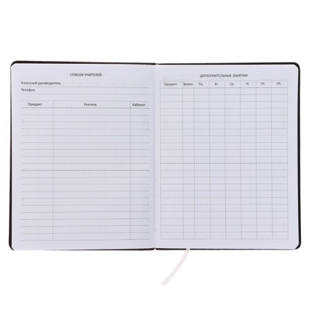 Universal diary for grade 1-11, solid cover, artificial leather, foam rubber, liesse, 80 g/m2-3
