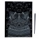 Antistress engraving with the effect of silver "Nimble raccoon"