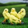 Garden figure "Chickens" 15cm, a set of 4 pcs