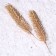 Decor "spray spruce gold", set 2 pcs., Size 1 pc. - 22 × 4 cm
