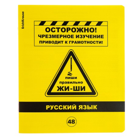 A set of subject notebooks 48 sheets, 12 pieces, Erichkrause "BENFORMED", plastic cover silk-screen cover, OFSET BELICE 100%, info block-2