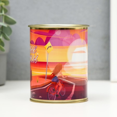 Pigger Bank Metal "pleasant moments"-1