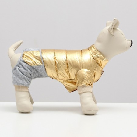 Kombinson "Cosmonaut", size 16 (DS 36 cm, og 46 cm, Osh 35 cm), golden-1