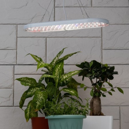 Lamp for plants ERA Fito-25W-QLED-Fly suspended full spectrum 25 W-10
