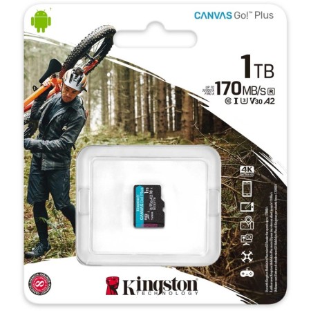 MicrosDXC memory map 1TB KingSton SDCG3/1TBSP Canvas GO! Plus W/O-2