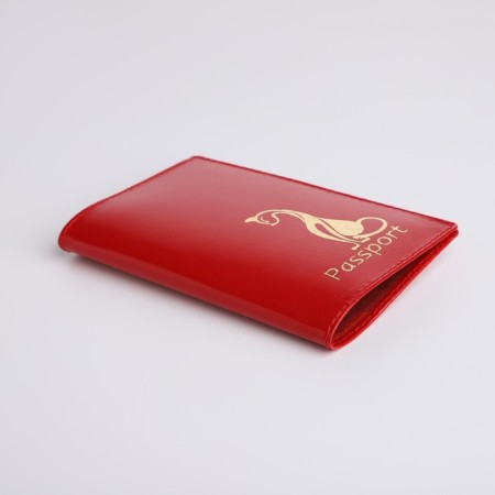 Cover for passport, red color-2