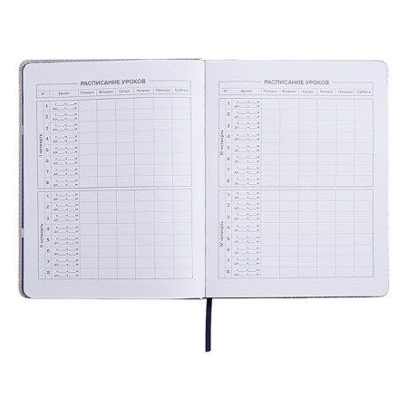 School diary for grades 1-11 "Cherry", solid cover with foam rubber, artificial leather, applique, lies, 48 ​​sheets, handle in the kit, block 70g/m2-9
