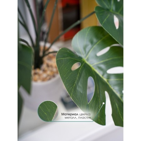 Decorative plant in a ceramic pot of Monster, 12 × 12 × 70 cm-3