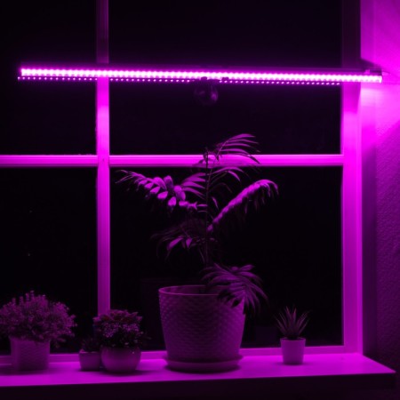 LED phyto -light, 10 watts, 600 mm, IP40, 220 V, multi -pointral, with suction-1