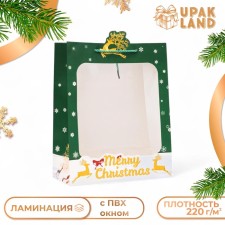 Gift package with the New Year window, embossing, 26 x 32 x 12 cm, green