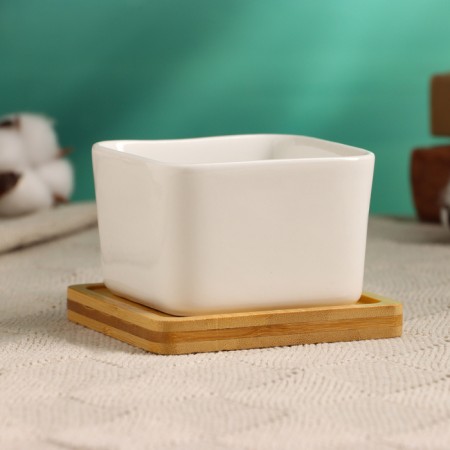 Pot "Eco Bonsai" 9.5x9.5x6.5cm-1