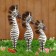Souvenir tree "Family Zebr" (set 3 pieces: height 40.35.30 cm)